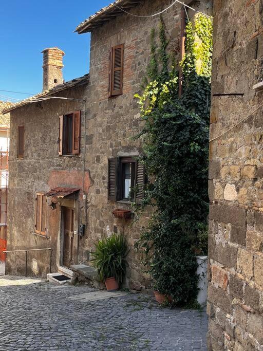 Adelaide Al Borgo. Apartment Castelnuovo Di Porto Bagian luar foto