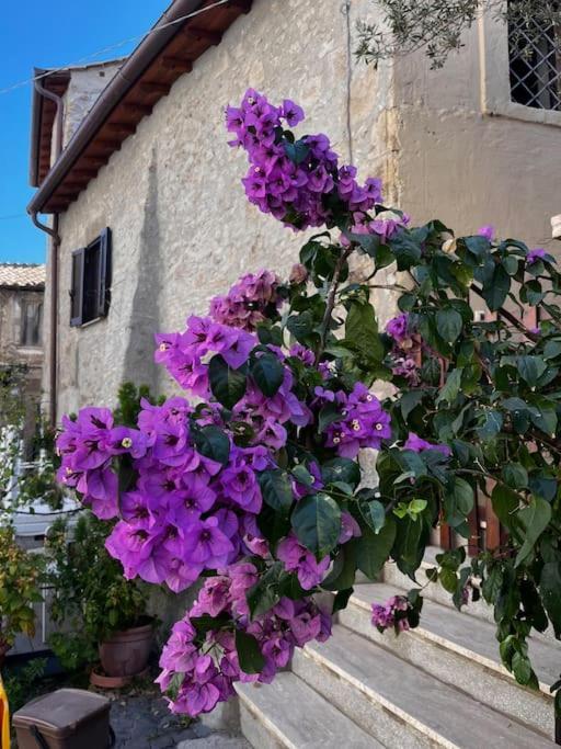 Adelaide Al Borgo. Apartment Castelnuovo Di Porto Bagian luar foto