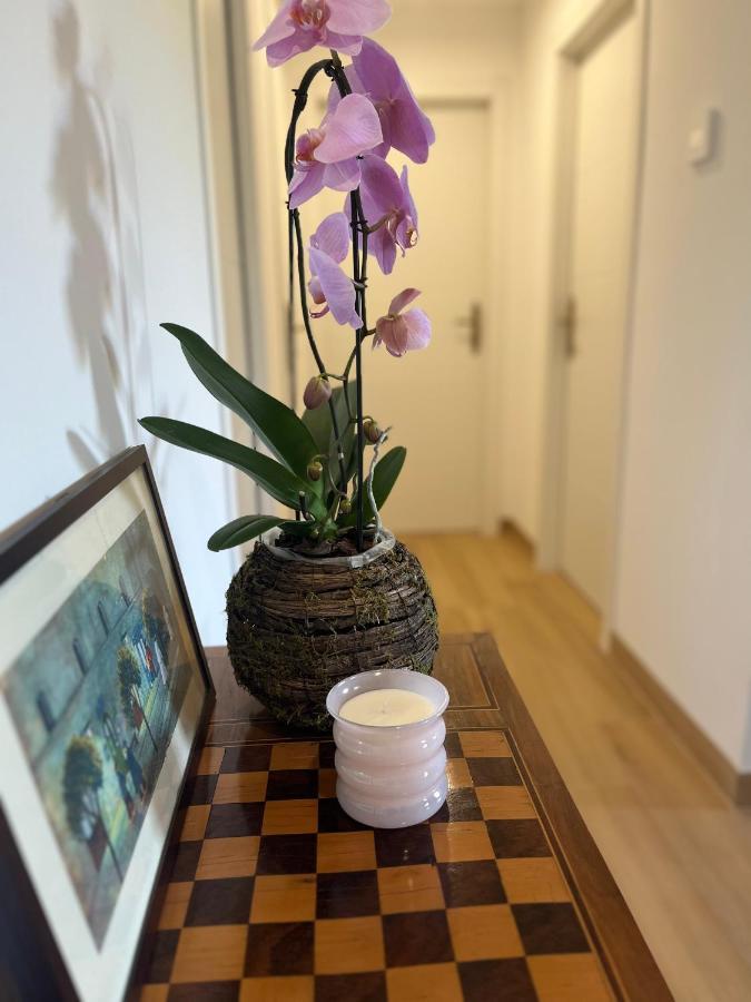 Adelaide Al Borgo. Apartment Castelnuovo Di Porto Bagian luar foto