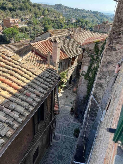 Adelaide Al Borgo. Apartment Castelnuovo Di Porto Bagian luar foto